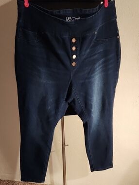 DG2 by Diane Gilman Dark Indigo Stretch Denim Jeggings 2X